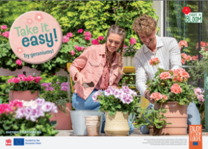 Screenshot 2026-03-25 162125