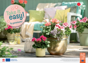 Screenshot 2026-03-25 162220