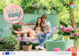 Screenshot 2026-03-25 162306