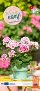 Screenshot 2026-03-25 162334