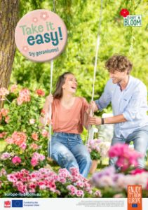 Screenshot 2026-03-25 162453