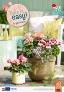 Screenshot 2026-03-25 162503