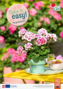 Screenshot 2026-03-25 162513