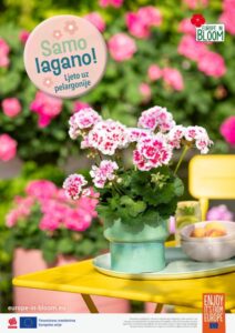 20260217_96268_PFE_Poster_A1_HR_RZ_thumbnail-1-1