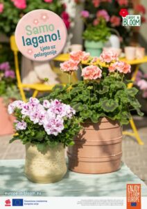 20260217_96268_PFE_Poster_A1_HR_RZ_thumbnail-2-1