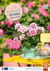 20260204_96268_PFE_Poster_A1_HU_RZ_thumbnail-1