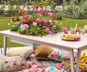 2018-geraniums-bloomy-couch-01