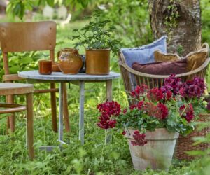 2018-geraniums-bloomy-couch-01
