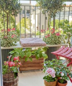 2019-geraniums-950-diy-3-coffetable-01